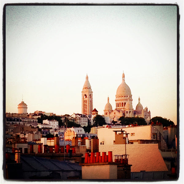 Superb flat in Montmartre / South Pigalle  with an amazing terrace view 360 on P Paris, France Flat Montmartre Amazing Terrace 360 Entire rental unit vacation rental 5663980