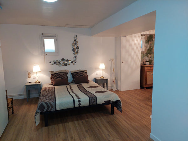 Chambre avec douche et toilettes privées. Vous êtes complètement indépendant de  Lyon, France Chambre de 30 m2, indépendante de mon logement Private room in townhouse vacation rental 28103904