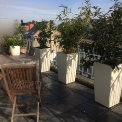 Magnifique penthouse, entièrement rénové, 3 chambres, dont deux seulement dispon Uccle, Belgium 1 chambre à Uccle frontière Ixelles Private room in rental unit vacation rental 29694953
