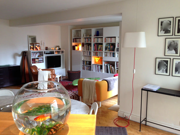 Bienvenue dans mon appartement dans lequel j'habite avec mes deux filles. Spacie Paris, France Appartement 108m2 +terrasse+parking Entire rental unit vacation rental 11291773