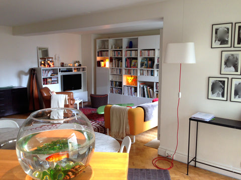 Bienvenue dans mon appartement dans lequel j'habite avec mes deux filles. Spacie Paris, France Appartement 108m2 +terrasse+parking Entire rental unit vacation rental 11291773