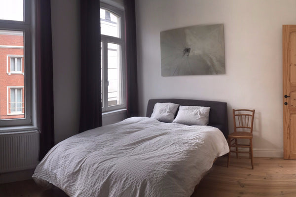 Perfectly situated and recently renovated spacious townhouse in a quiet neighbor Ghent, Belgium sunny townhouse in Gent Private room in townhouse vacation rental 36679101