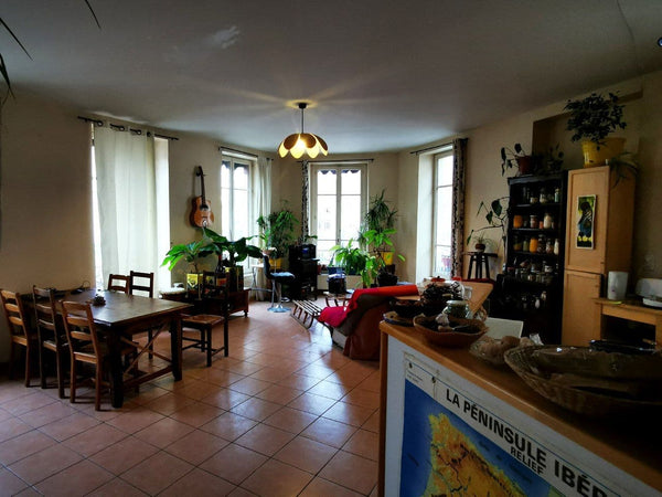 Grand appartement lumineux (100m2) : situé a 15 min a pied de la gare Part-Dieu, Lyon, France Vibrez au Coeur de la ville au Palace Guichard Private room in rental unit vacation rental 50993642