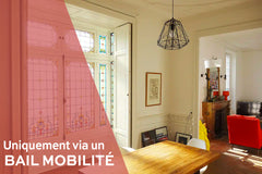 Merci de bien lire la description de cette annonce.<br />- Location d'un mois en Bordeaux, France * Bail mobilité * HYPERCENTRE HOTEL DE VILLE 100m2 Entire rental unit vacation rental 608583387127103155