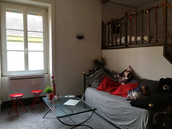 Studio de 36 m2, très agréable à vivre. Ambiance cosy et chaleureuse. Cuisine in Lyon, France Studio 4 personnes Lyon 6 Entire rental unit vacation rental 21757828