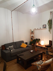 Appartement avec cheminée, salon/chambre avec cuisine, salle de bain et WC sépar Lyon, France Charmant T2 Entire rental unit vacation rental 31049146