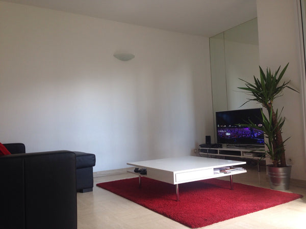 Suite aux évènements sanitaire nous appliquons un protocole strict. <br /><br /> Lyon, France Appartement calme très bien situé Entire rental unit vacation rental 13491120