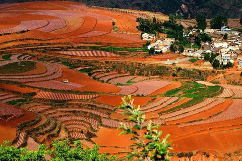 Kunming Private Round Trip Transfer to Dongchuan Red Land  Private Tours and Travel Guide Asia Shanghai CITY Kunming Destination Tour Asia Shanghai CITY Kunming