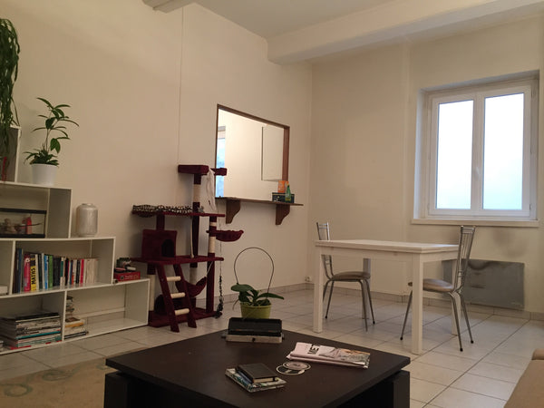 Agréable T3 en plein centre de Lyon. <br />Situé à 2 pas de la place des Terreau Lyon, France Appartement 70m2 au cœur de Lyon 1er Entire rental unit vacation rental 22290867