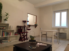 Agréable T3 en plein centre de Lyon. <br />Situé à 2 pas de la place des Terreau Lyon, France Appartement 70m2 au cœur de Lyon 1er Entire rental unit vacation rental 22290867