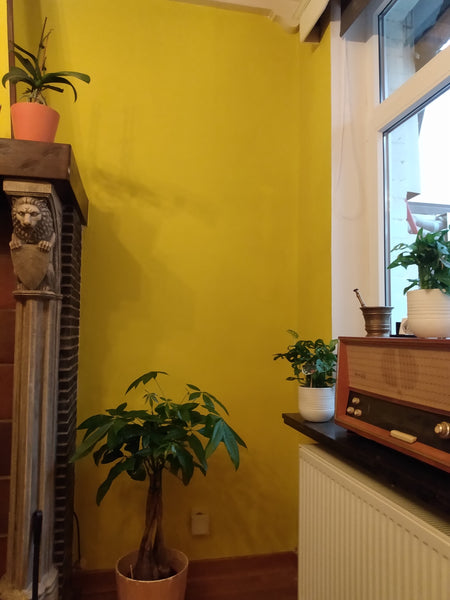 A three bedroom house for family/group in Ghent with free parking and free wifi. Flanders, Belgium Home Trietje 1 ** Entire townhouse vacation rental 3831324