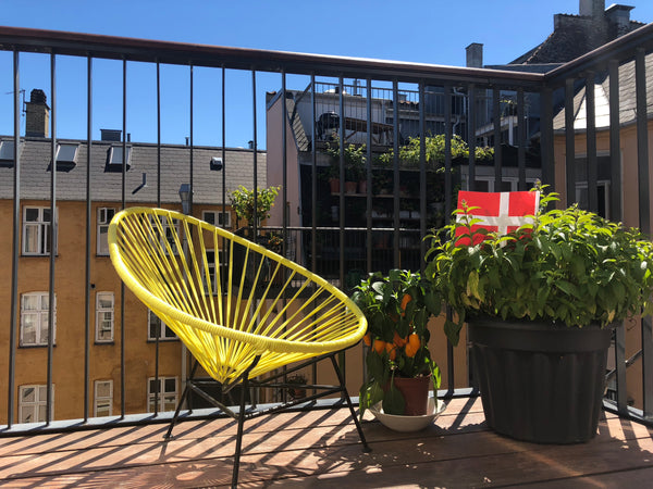 This great old 140 square m. apartment sits right next to the local foodie gem ' Copenhagen, Denmark Sunny, spacious, clean and perfect location ! Entire rental unit vacation rental 13387612