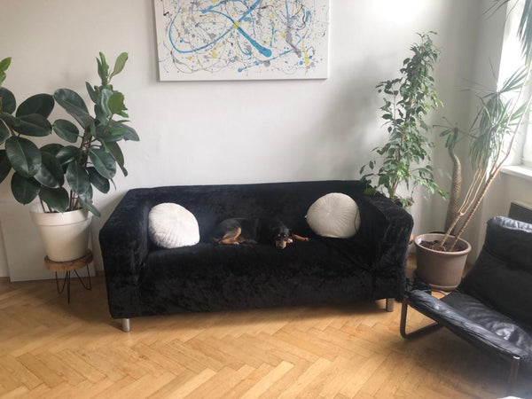 Das 40m²-Apartment bietet eine zentrale Lage, die ermöglicht, in kürzester Zeit  Germany Grüne Oase im Großstadtdschungel(Zentral gelegen) Entire rental unit vacation rental 44555330