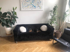 Das 40m²-Apartment bietet eine zentrale Lage, die ermöglicht, in kürzester Zeit  Germany Grüne Oase im Großstadtdschungel(Zentral gelegen) Entire rental unit vacation rental 44555330