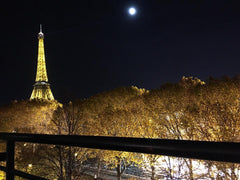 Awesome Flat along the Seine river with view on Eiffel Tower.<br />Amazing Sauna  Eiffel Tower View, Sauna and Space! Entire rental unit vacation rental 6815692