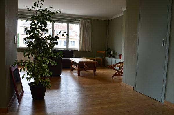 Dans un quartier résidentiel calme, mais à 3 minutes du métro (20 minutes du cen  chambre dans appartement rénové et lumineux Private room in rental unit vacation rental 39965029