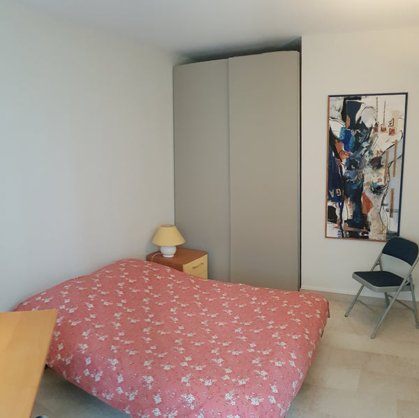 Nice one-bedroom apartment ideally located in the heart of Lyon, five minutes aw Lyon, France Aprtment for 2 or 3 people in the heart of Lyon Entire rental unit vacation rental 24637558