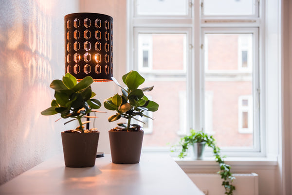 A good and nice 2 bedrooms apartment in CPH City Frederiksberg, Denmark T3, 3. tv A 2 bedroom apartment in Østerbro Entire serviced apartment vacation rental 684562929707413635