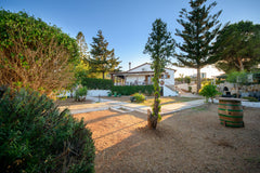 Rich in tradition and comfort, Ellis holidays home with amazing sea views is a s  Ellis holidays home Entire home vacation rental 50385895