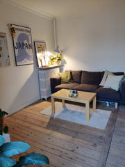 Cozy 2-room, 50 sqm Copenhagen-style apartment! <br /><br />It is located in the  Cozy apartment with perfect location Entire rental unit vacation rental 45981233