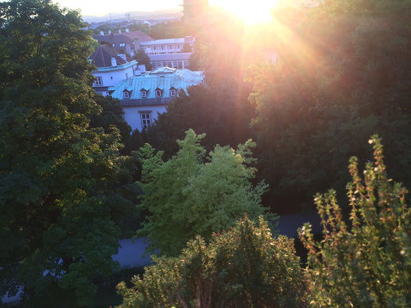 Kleine Wohnung, direkt am Augarten (Barockpark) gelegen, sehr schöner Ausblick,   Kleine Wohnung direkt am Augarten, ruhig, zentral Entire rental unit vacation rental 22709668