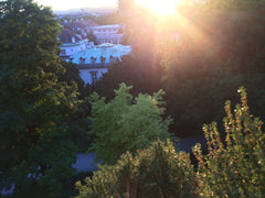 Kleine Wohnung, direkt am Augarten (Barockpark) gelegen, sehr schöner Ausblick,   Kleine Wohnung direkt am Augarten, ruhig, zentral Entire rental unit vacation rental 22709668