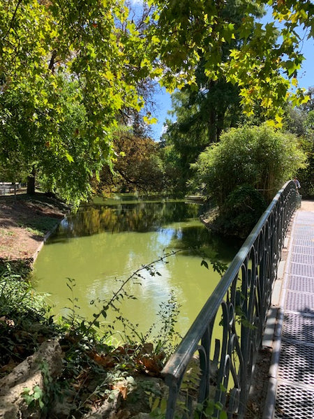 Vous souhaitez passer quelques jours dans notre belle région ? Notre appartement Bordeaux, France Jardin Public - Lagrange Entire rental unit vacation rental 50189339