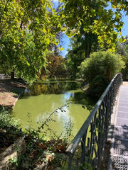 Vous souhaitez passer quelques jours dans notre belle région ? Notre appartement Bordeaux, France Jardin Public - Lagrange Entire rental unit vacation rental 50189339