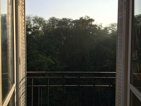 Beautiful bedroom in front of the more picturesque park of Paris: Parc Buttes Ch Porto, Portugal Amazing view! 15min from the center Private room in rental unit vacation rental 4101814