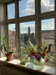 My place is located right between Frederiksberg and Nørrebro - with great access Copenhagen, Denmark Dreamy home in Frederiksberg/Nørrebro Entire condo vacation rental 52616365