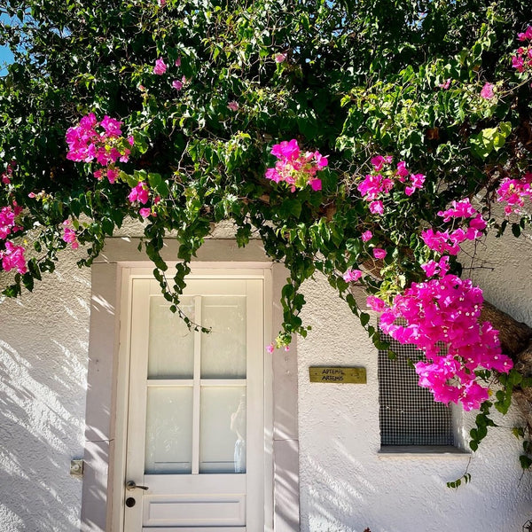 Only 14 steps from a secluded beach with crystal clear waters and walking distan Greece Blu Patmos Village - Apollon by the beach Cycladic home vacation rental 25242536