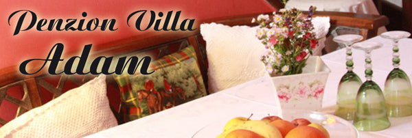 V pokoji je velka doublbed + 2 x singl bed,wifi,televize,rychlovarna konev,snida Prague, Czechia pokoj v tiche rodinne ville se zahradou a parking Private room in home vacation rental 17782640