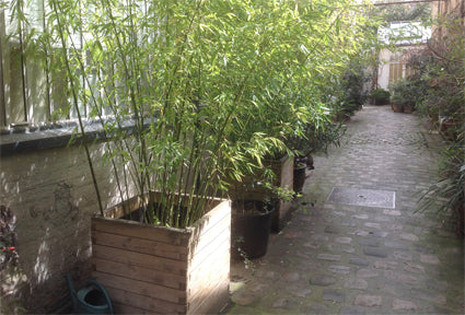 150 m² atypique dans une allée verte.<br />Appartement calme et lumineux, situé  Paris, France Un lumineux coin de verdure à Paris Entire loft vacation rental 5983213