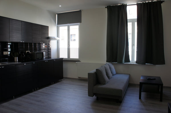 Renovated apartment on the second floor of a little building<br />Very well loca Schaerbeek, Belgium Bel Appart Berlaymont Quartier EU (Sakura) Entire rental unit vacation rental 20673816