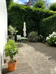 Our peaceful ground floor apartment is behind one of the most beautiful museums  Brussels, Belgium Oasis of calm and green in trendy area of Antwerp Entire condo vacation rental 655445562986381595