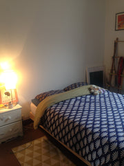 Je loue mon appartement de 35m2  situé dans le 1er arrondissement de Lyon (pente Lyon, France T2 proche centre Entire rental unit vacation rental 30266294