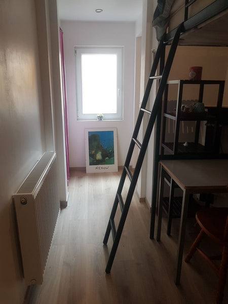 Petite chambre au calme avec lit une place en mezzanine, table et mini sofa, jol Schaerbeek, Belgium Petite chambre cosy pour 1 femme /female only Private room in rental unit vacation rental 43721542