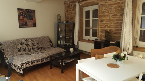 Appartement lumineux et sensation de vacances garanties!<br /><br /><b>The space Lyon, France Chambre cosy bord de Saône Private room in rental unit vacation rental 12166220