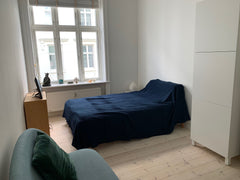 Very cosy, newly renovated flat with new bath and <br />kitchenette in the most  Copenhagen, Denmark Wonderful Copenhagen Entire rental unit vacation rental 45841864