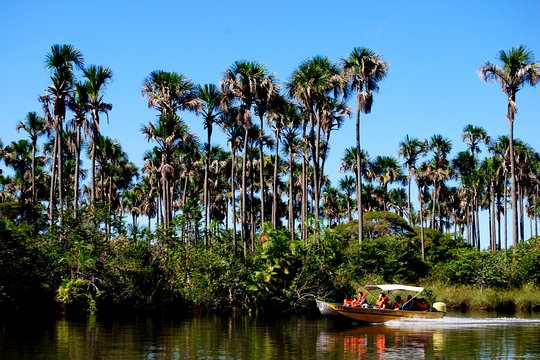 Full Day Tour through Preguiças River by Speedboat  Private Tours and Travel Guide America Fortaleza CITY Barreirinhas Destination Tour