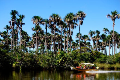 Full Day Tour through Preguiças River by Speedboat  Private Tours and Travel Guide America Fortaleza CITY Barreirinhas Destination Tour America Fortaleza CITY Barreirinhas