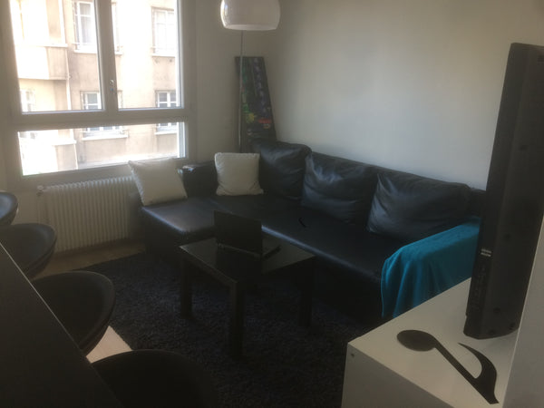 Appartement de 44m2 refait à neuf il y a deux ans, donc agréable à vivre, et ass Lyon, France Lyon 7 : appartement agréable proche métro Entire rental unit vacation rental 21906220