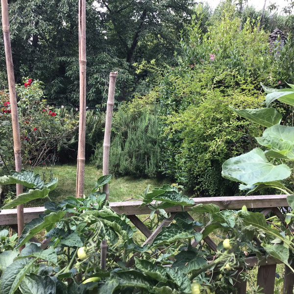 Nous mettrons une chambre et une salle de bain privative à disposition. La chamb Brussels, Belgium Chambre - Forest National Private room in home vacation rental 668029891624521032