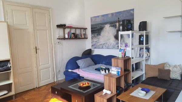 Von unserer zentral gelegenen Unterkunft kommt ihr in Wien gut und schnell übera Vienna, Austria Großes Zimmer Nähe Hauptbahnhof Wien Shared room in rental unit vacation rental 699051409153906958