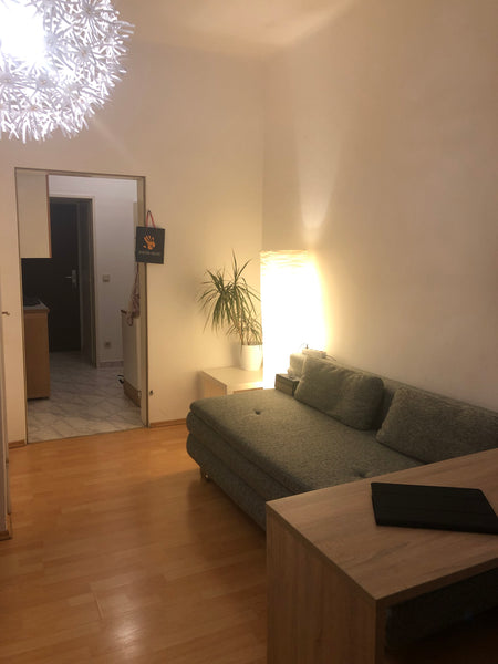 Kleine ruhige Einzimmerwohnung, sonnig an der Südseite, für 2 oder max. 4 Person Vienna, Austria Kleine sonnige 1-Z-Whg. 1170 Wien, nähe AKH/U6 Entire loft vacation rental 34403251