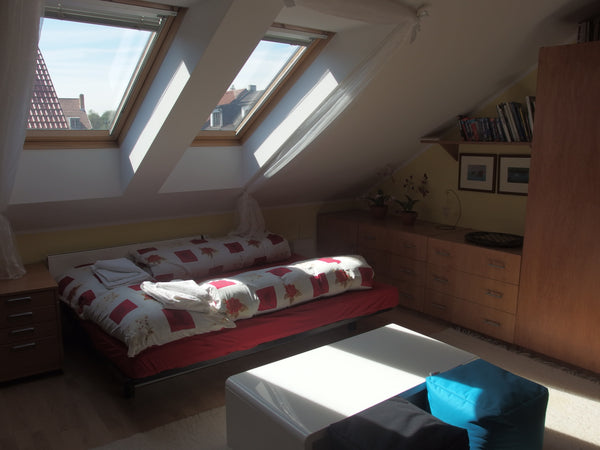 A fully air-conditioned room in a family house just 20 minutes tram ride from th Prague, Czechia Cute, spacious room in a fam. house Private room in home vacation rental 771128