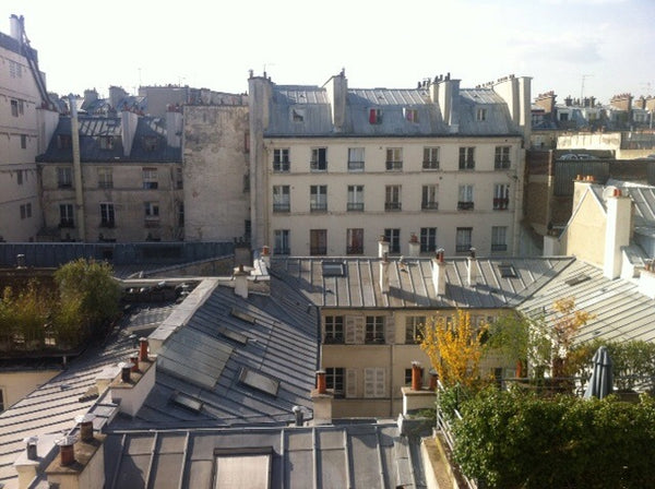 Freshly renovated 1 bedroom  apartment in typical Parisian building, one block f Paris, France PARIS CANAL ST MARTIN! Entire rental unit vacation rental 524924