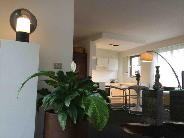 I invite you to enjoy the comfort of this renovated ground floor flat.This  plac  MY SPACE,beautiful flat with lovely courtyard Entire rental unit vacation rental 37821540