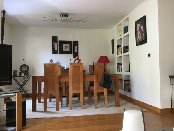 Appartement spacieux de 100m2 avec un vaste séjour, expo sud pour la pièce de vi Lyon, France Grand appartement, FÊTE DES LUMIÈRES 2019 Entire condo vacation rental 37867324