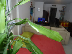 Mon logement est proche de Café Charbon et Nouveau Casino.............. Vous app  PARIS PARIS Entire rental unit vacation rental 13461554